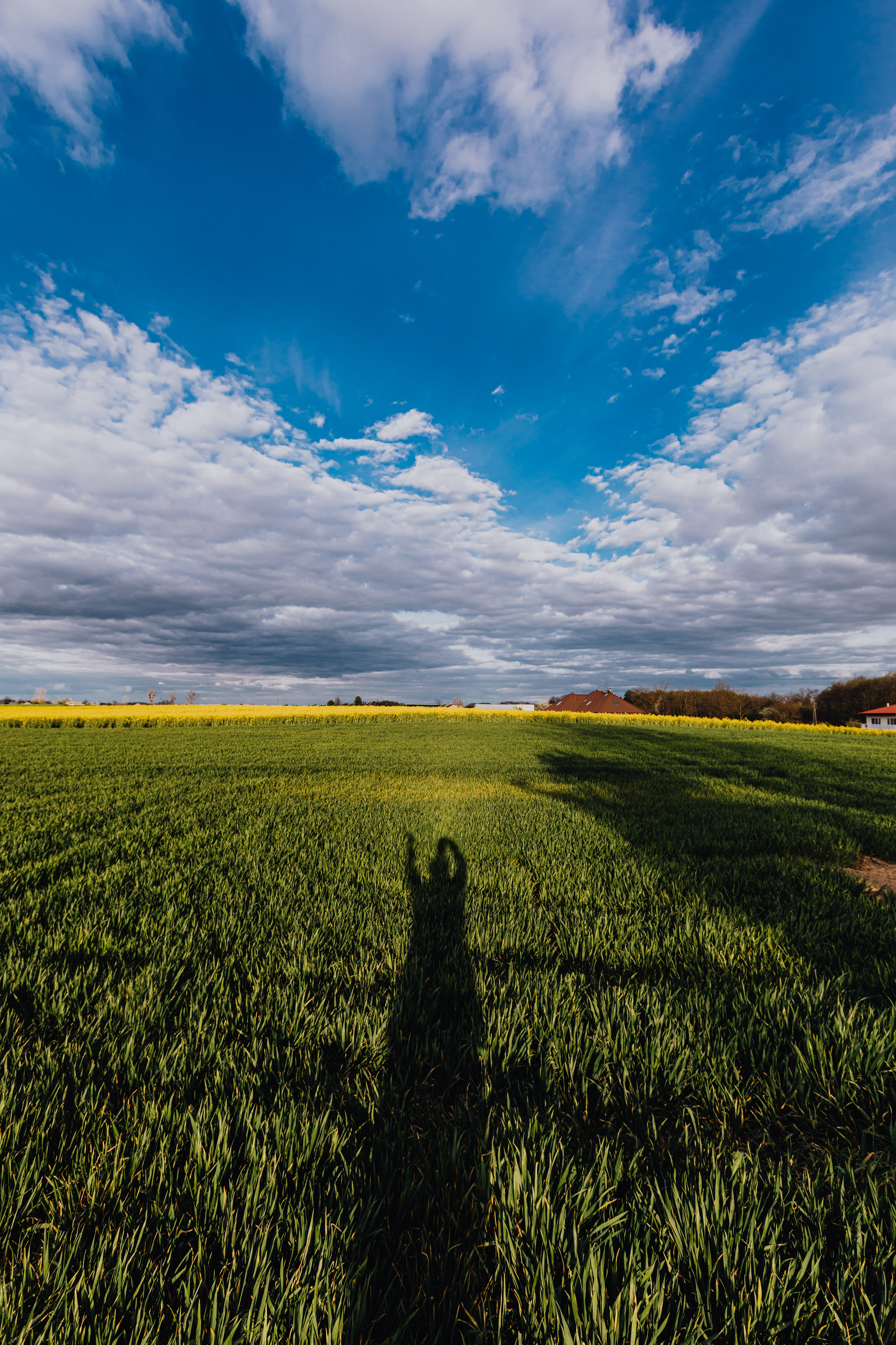 Canva - Green summer field in countryside with long shadow of person